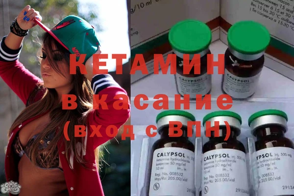 индика Алзамай