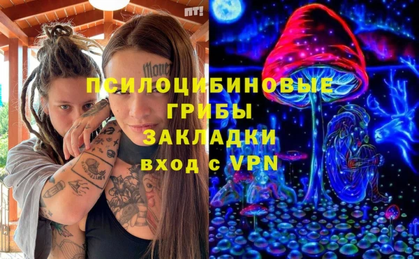 спиды Костерёво