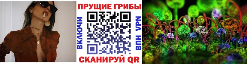 Псилоцибиновые грибы Cubensis  даркнет сайт  Сочи 