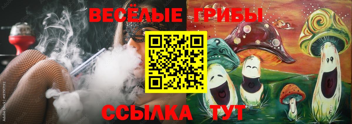 Сочи  Псилоцибиновые грибы Cubensis  Вход с VPN 