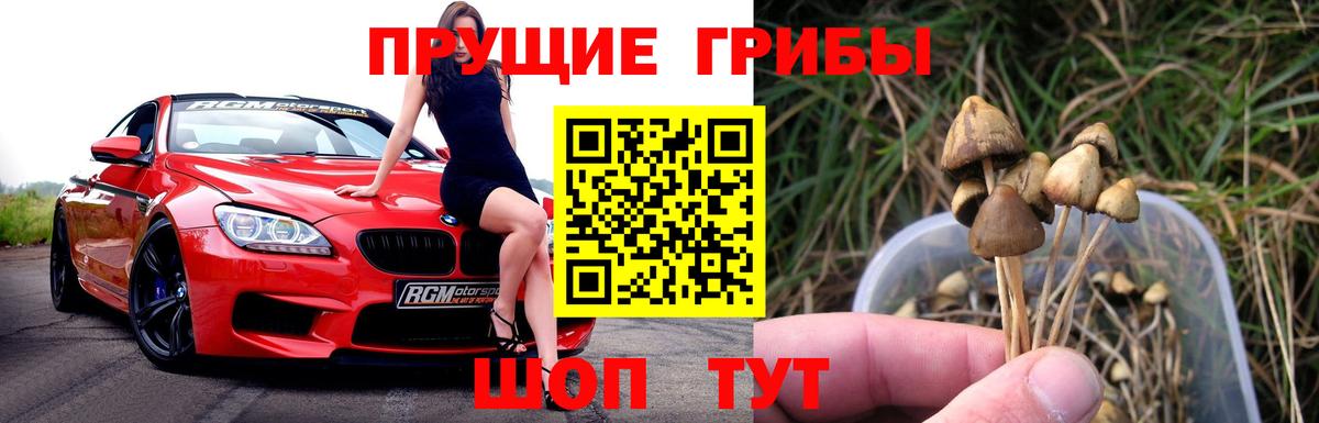 Псилоцибиновые грибы ЛСД Сочи